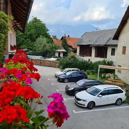 Apartmaji Mezan Apartman Bled