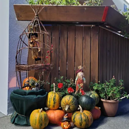 Apartmaji Mezan Appartement *