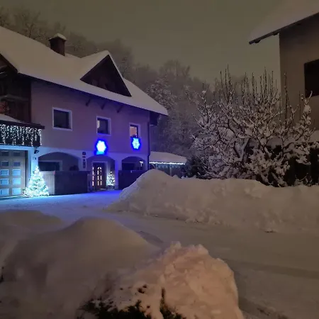 Apartmaji Mezan * 블레드