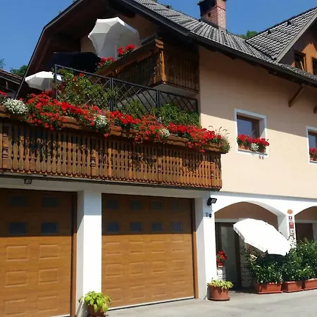 Apartmaji Mezan *