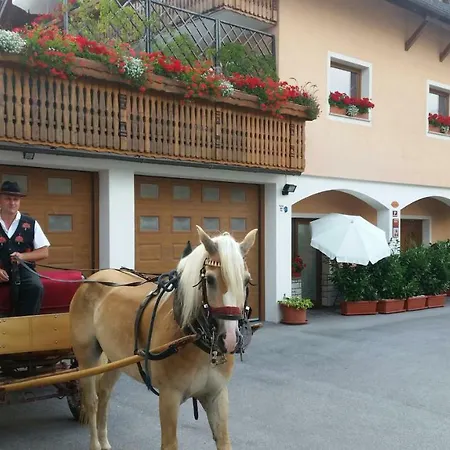 Apartmaji Mezan * 블레드