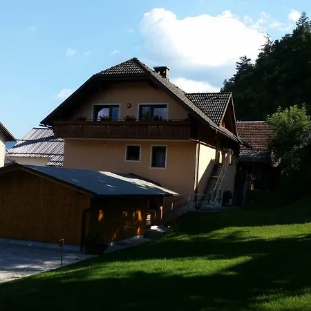 Apartmaji Mezan * 블레드