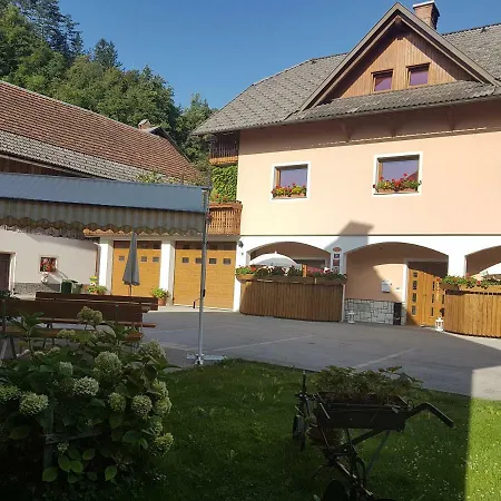 Apartmaji Mezan Lejlighed Bled