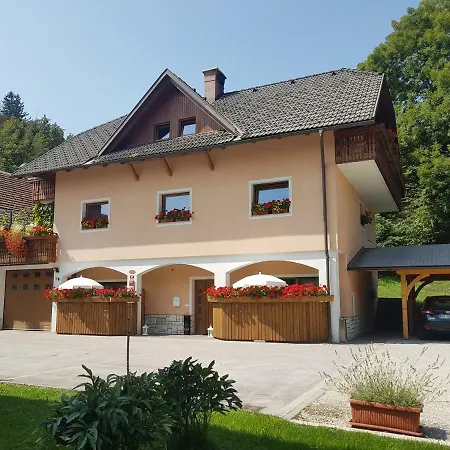 Apartmaji Mezan Apartma *