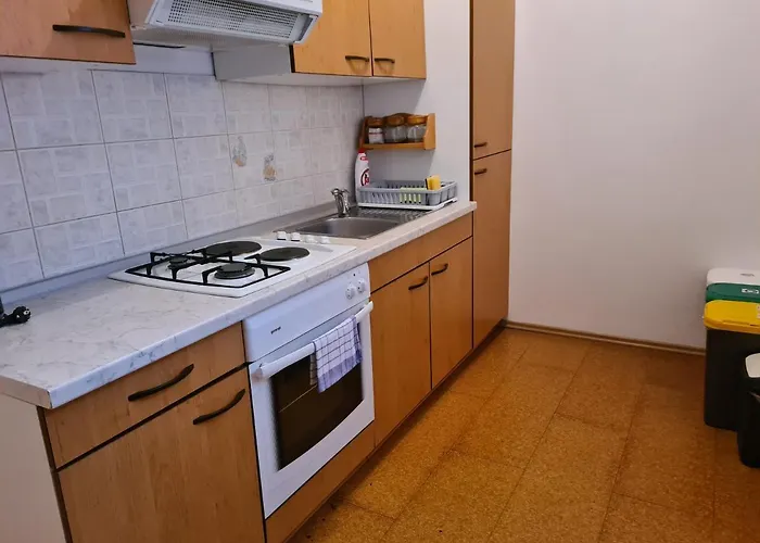 Apartmaji Mezan * 布莱德