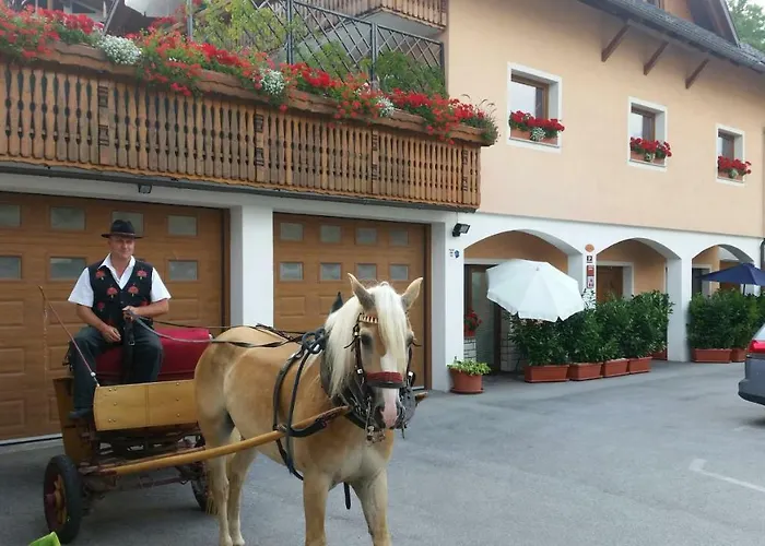 Apartmaji Mezan * 布莱德