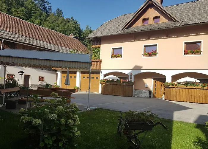 Apartmaji Mezan 公寓 布莱德