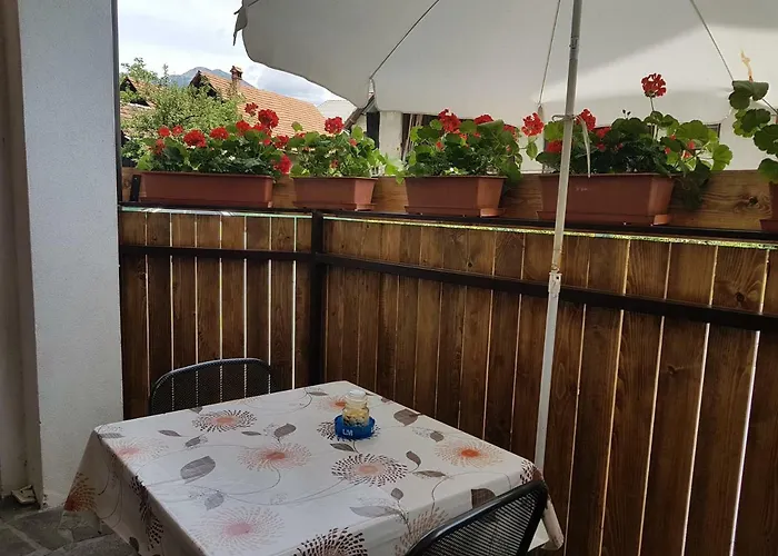 公寓 Apartmaji Mezan 布莱德